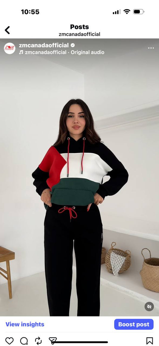 Ensemble survetement palestine